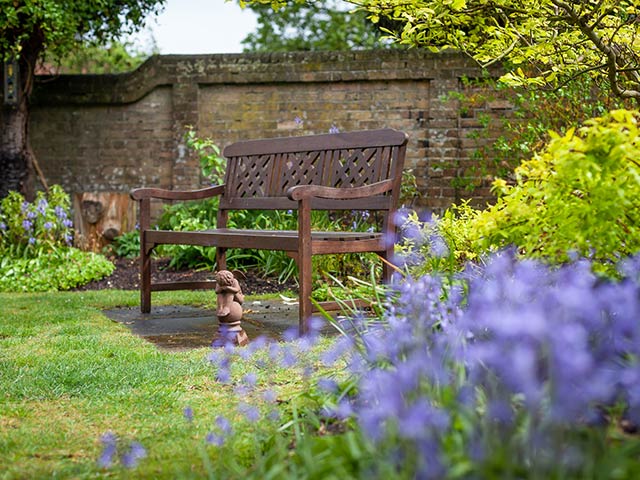 Bench and bluebells